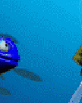 pic for fish love